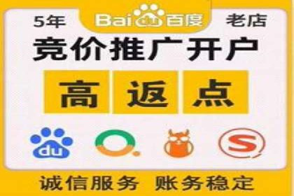 百度竞价代理在某行业的具体应用与效果